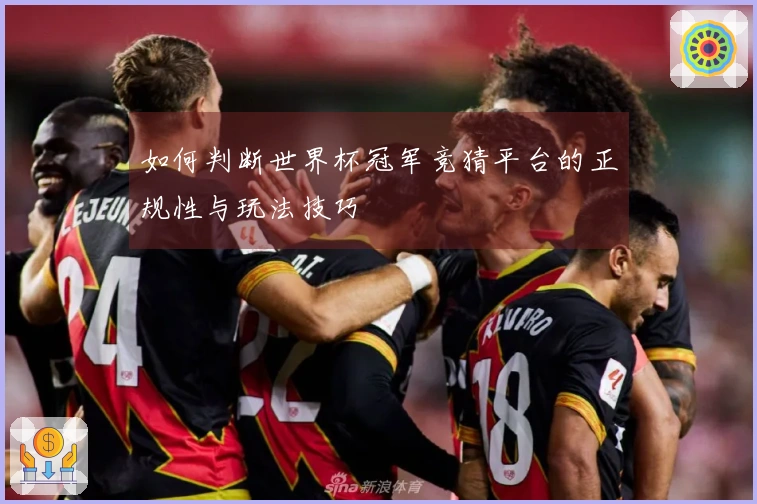 如何判断世界杯冠军竞猜平台的正规性与玩法技巧