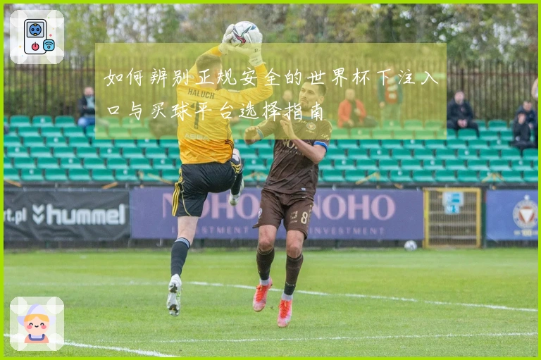 如何辨别正规安全的世界杯下注入口与买球平台选择指南
