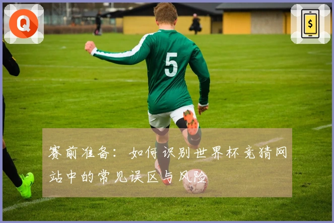 赛前准备：如何识别世界杯竞猜网站中的常见误区与风险