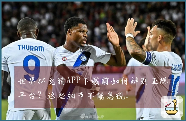 世界杯竞猜APP下载前如何辨别正规平台？这些细节不能忽视！