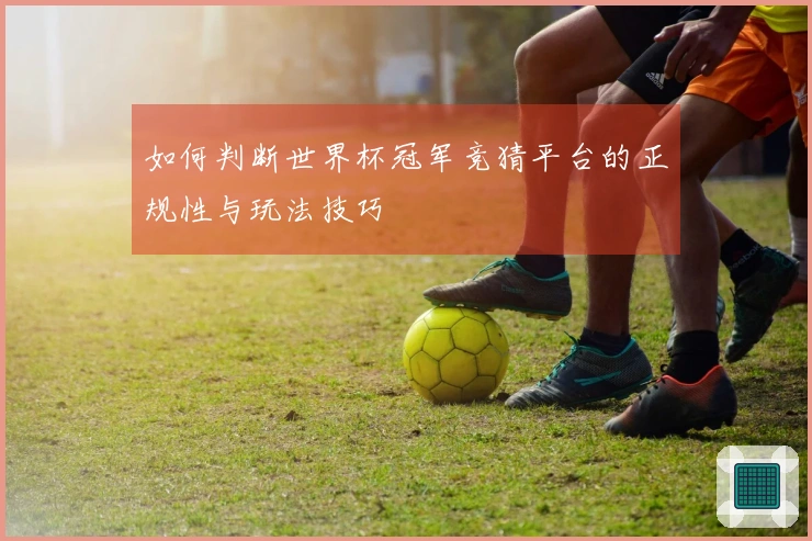 如何判断世界杯冠军竞猜平台的正规性与玩法技巧
