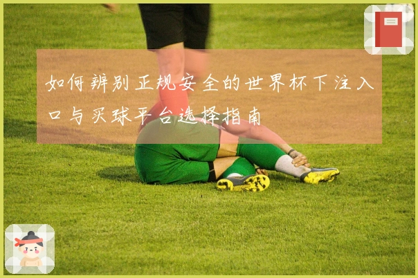 如何辨别正规安全的世界杯下注入口与买球平台选择指南